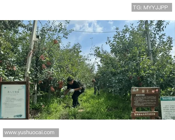 果园生态循环与可持续发展：探索现代农业的绿色转型之路