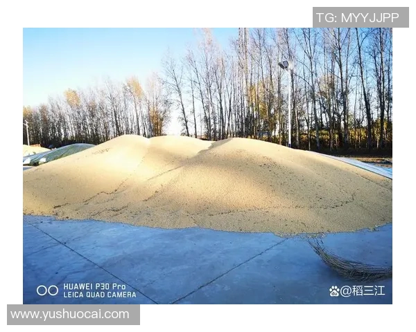 北京极限运动队反击之路:挑战与收获的深度剖析 北京极限运动队反击之路:挑战与收获的深度剖析