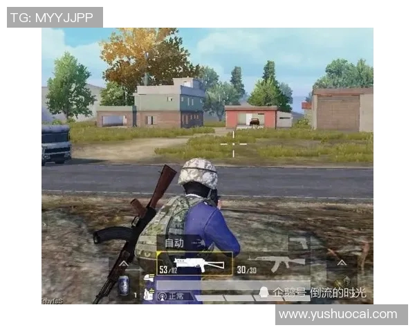 和平精英战术解析：深入探讨WE战队的区域防守策略与实战应用