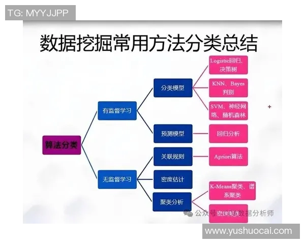 深入探讨V5在数据分析中的速度表现与优化策略